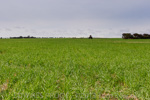 VITERRA / ANNA_BINNA_149_(130604)