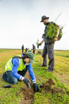 TREE_PLANTING_YP_018_130604