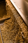 VITERRA / VITERRA_HORSHAM_712_(120209)