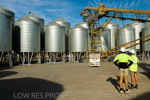 VITERRA / VITERRA_HORSHAM_967_(120209)