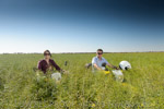 VITERRA 2013 / VITERRA_TANGERBOUN_022_(131009)