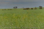 VITERRA 2013 / VITERRA_TANGERBOUN_093_(131009)