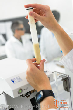 VITERRA 2013 / VITERRA_LABS_064