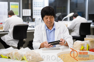 VITERRA 2013 / VITERRA_LABS_190