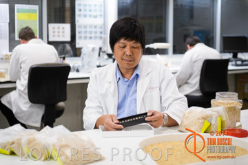 VITERRA 2013 / VITERRA_LABS_198