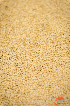 VITERRA 2013 / VITERRA_LABS_213