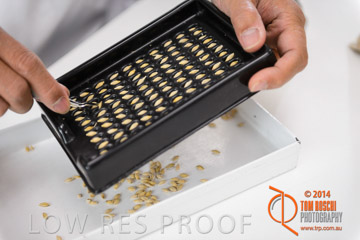 VITERRA 2013 / VITERRA_LABS_216