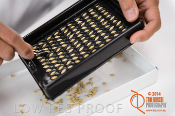 VITERRA 2013 / VITERRA_LABS_218