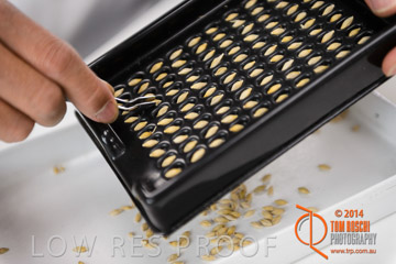 VITERRA 2013 / VITERRA_LABS_219