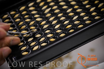 VITERRA 2013 / VITERRA_LABS_222