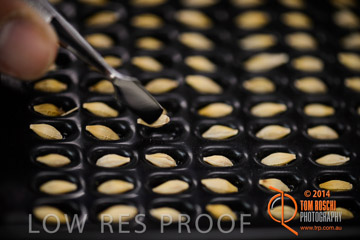 VITERRA 2013 / VITERRA_LABS_228