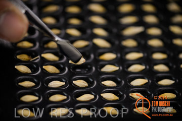 VITERRA 2013 / VITERRA_LABS_231