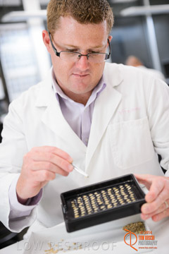 VITERRA 2013 / VITERRA_LABS_252