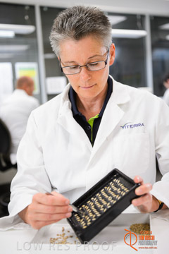VITERRA 2013 / VITERRA_LABS_274