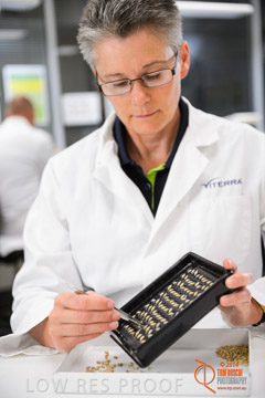 VITERRA 2013 / VITERRA_LABS_280