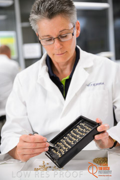 VITERRA 2013 / VITERRA_LABS_281