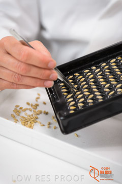 VITERRA 2013 / VITERRA_LABS_283