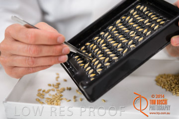 VITERRA 2013 / VITERRA_LABS_284