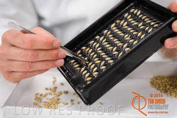 VITERRA 2013 / VITERRA_LABS_285