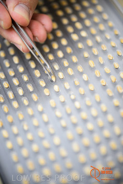 VITERRA 2013 / VITERRA_LABS_286