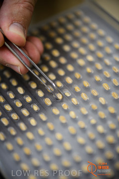 VITERRA 2013 / VITERRA_LABS_288