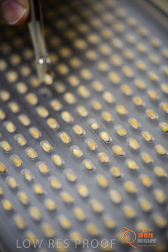 VITERRA 2013 / VITERRA_LABS_294