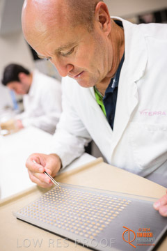 VITERRA 2013 / VITERRA_LABS_308