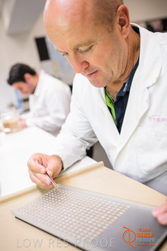 VITERRA 2013 / VITERRA_LABS_310