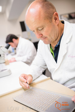 VITERRA 2013 / VITERRA_LABS_318