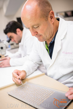 VITERRA 2013 / VITERRA_LABS_320