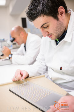 VITERRA 2013 / VITERRA_LABS_331