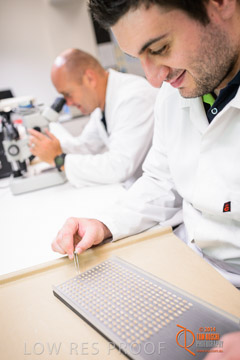 VITERRA 2013 / VITERRA_LABS_337