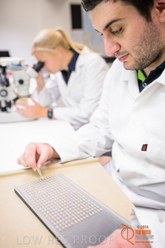 VITERRA 2013 / VITERRA_LABS_342