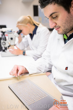 VITERRA 2013 / VITERRA_LABS_343