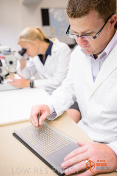 VITERRA 2013 / VITERRA_LABS_352