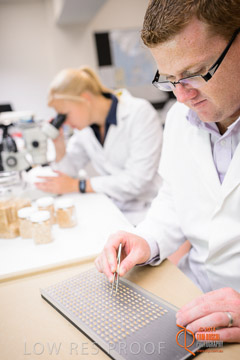 VITERRA 2013 / VITERRA_LABS_357