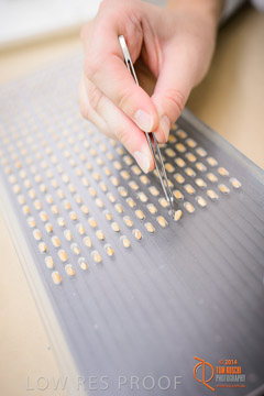 VITERRA 2013 / VITERRA_LABS_384