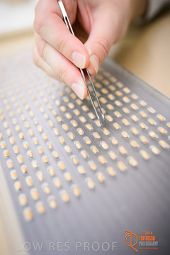 VITERRA 2013 / VITERRA_LABS_386