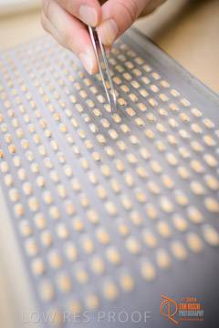 VITERRA 2013 / VITERRA_LABS_387