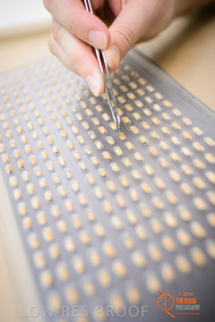 VITERRA 2013 / VITERRA_LABS_388