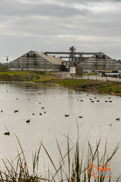 VITERRA 2013 / ROSEWORTHY_003_140617