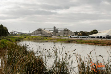 VITERRA 2013 / ROSEWORTHY_004_140617