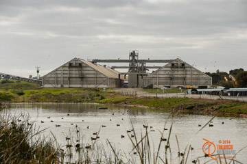 VITERRA 2013 / ROSEWORTHY_006_140617