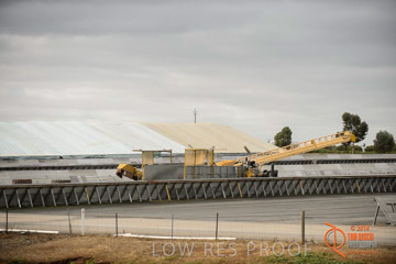 VITERRA 2013 / ROSEWORTHY_009_140617