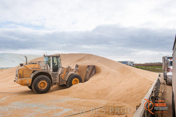 VITERRA 2013 / BUNKER_LOADER_018_140617