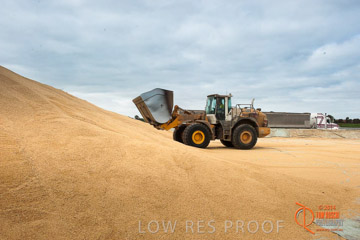 VITERRA 2013 / BUNKER_LOADER_023_140617