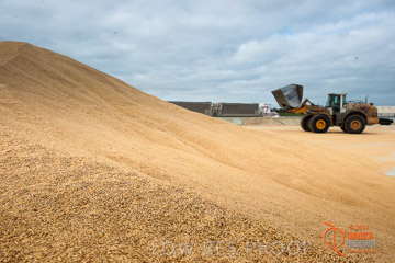 VITERRA 2013 / BUNKER_LOADER_024_140617