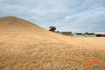 VITERRA 2013 / BUNKER_LOADER_025_140617