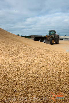 VITERRA 2013 / BUNKER_LOADER_031_140617