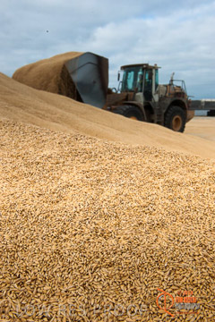 VITERRA 2013 / BUNKER_LOADER_032_140617